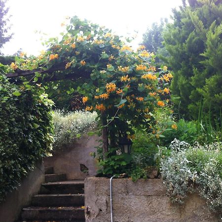 Ferienwohnung Ma Demeure Le Gue-de-Longroi Exterior foto